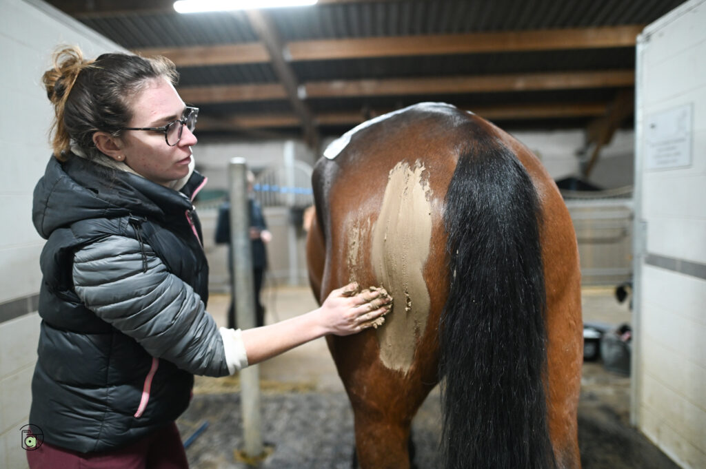 Séance d'algothérapie sur un cheval