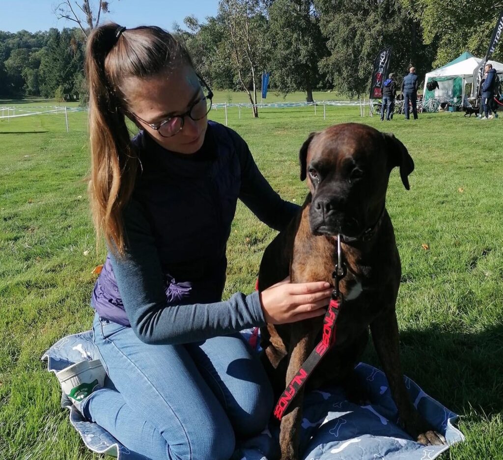 Soin canin pathologie chronique
